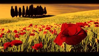 The Garden Of Poppies - Ryuichi Sakamoto