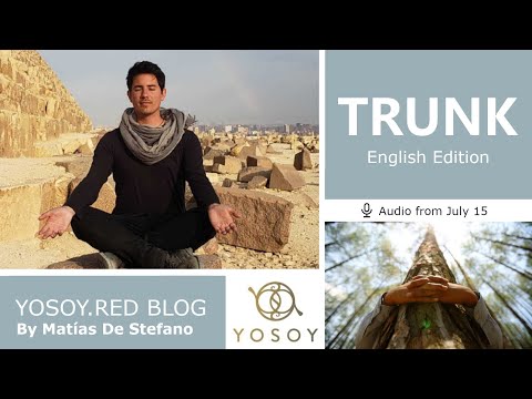 Day 346 - TRUNK - Matías De Stefano - YOSOY.RED BLOG: Sacral - Emotional - Cancer, Read by Joan 7/15