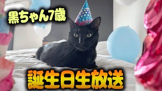 黒ちゃんの誕生日おめでとぉおおお！！　（生放送）