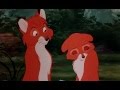 Rox Et Rouky Le Secret De La Séduction HD