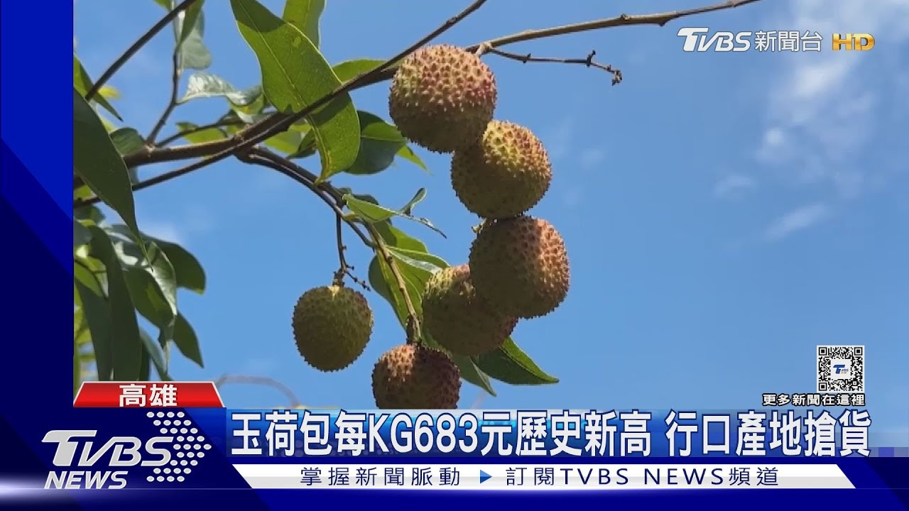 玉荷包剩3成!北農每公斤683元歷史天價 行口急到果園搶貨