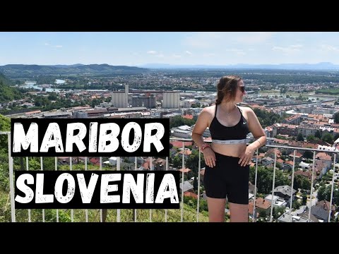 First International Bus Trip! + What to See and Do in Maribor, Slovenia) 🇸🇮