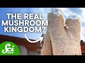 Bone Cities, Ash Towers, and 4 Other Futuristic Buildings Bone Cities, Ash Towers, and 4 Other Futuristic Buildings