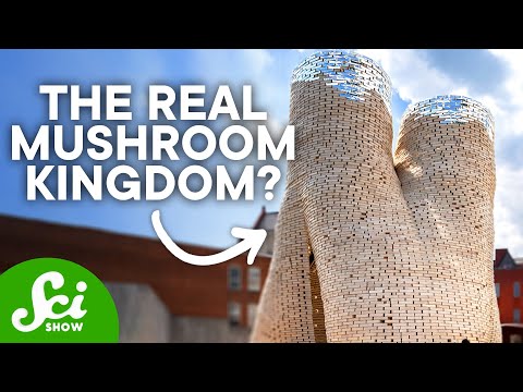 骨の街、灰の塔、その他4つの未来的な建物 (Bone Cities, Ash Towers, and 4 Other Futuristic Buildings)
