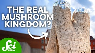 Bone Cities, Ash Towers, and 4 Other Futuristic Buildings