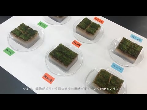 応用生物学課程 【京都工芸繊維大学】（研究紹介）応用生物学系　半塲祐子 教授