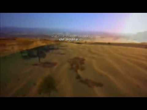 Rebeca Avram - Vreau sa zbor