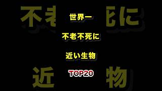 世界で1番不老不死に近い生物TOP20 #不老不死 #生物 #寿命 #ランキング