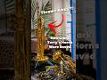 Trash to Treasure: Clark Terry’s Lost Horns 🎺