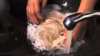 Washing & Drying Clip In Extensions with Chilli Couture