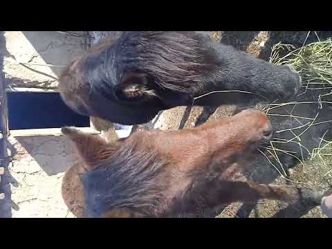 Well find out whos hungry and whos not in this video