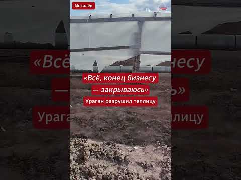 🌪 😳 Беларус поделился кадрами после сильного ветра — теплица не выдержала стихии .