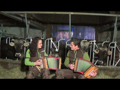 S'Chochä - Margritli i lieb di (Schwyzerörgeli) Balkonkonzert