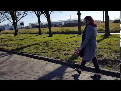 HONDENBEZITTERS OPGELET HONDENBEZITTERS OPGELET