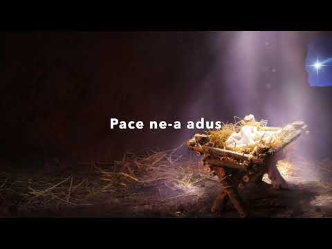 Denis Pantea - S-a nascut Isus