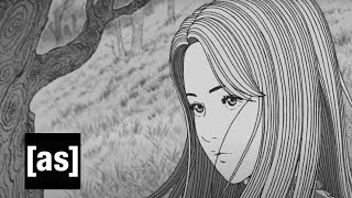 Update & Teaser
