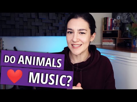 Do Animals Like Music? | Music Without Theory | Episode 16