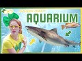 Brecky Breck Visits An Aquarium Fish And Animals For Kids And Toddlers