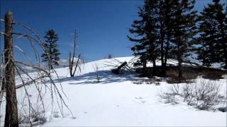 2014-03-31 Gold Ridge