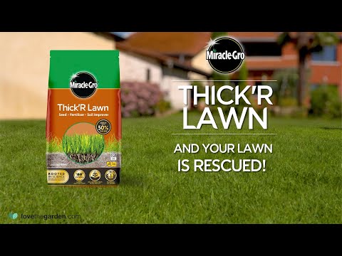 Miracle-Gro® Thick’R Lawn | 3-in-1 Grass Seed, Fertiliser & Soil Improver for Thicker Lawns