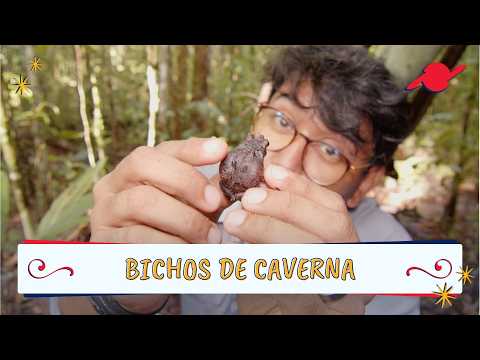 Animais que vivem em cavernas #parte2
