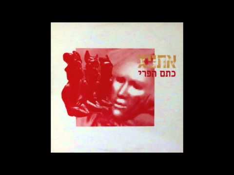 כתם הפרי