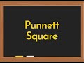 Punnett Square Calculator Video