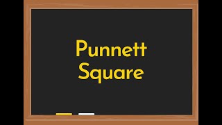 Punnett Square