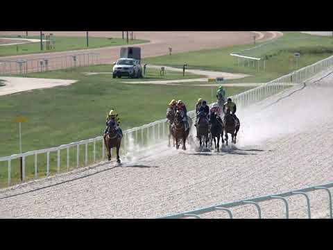 2019.08.18. 04. futam - YORKSHIRE HENDIKEP (III.o.) (szintetikus pálya)