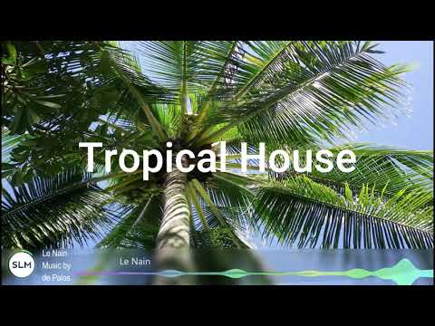 Free background music for videos youtube no copyright download instrumental edm tropical house