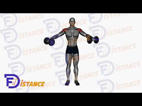 Exercice Élévations latérales debout avec haltères