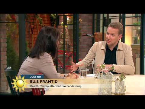 Ann Linde: Svenskar i London utsatta efter Brexit - Nyhetsmorgon (TV4)