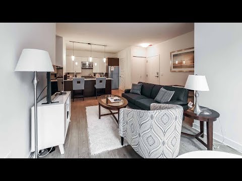 A furnished short-term 1-bedroom at the Loop’s luxurious MILA apartments A furnished short-term 1-bedroom at the Loop’s luxurious MILA apartments