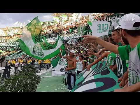 "Atlético Nacional 2 vs Dim 0/ Fecha 13 Liga Aguila l/ 8 de Abril 2018" Barra: Los del Sur • Club: Atlético Nacional