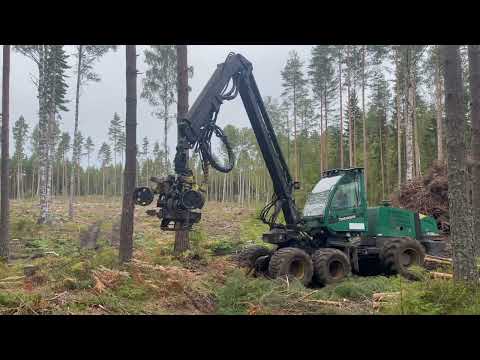 Videoklipp