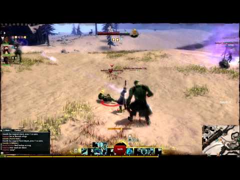 Guild Wars 2 Guardian Game Play