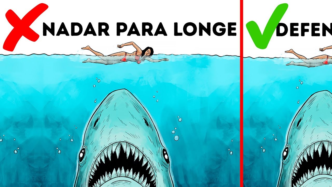 10 Maneiras de Sobreviver a Um Ataque de Animal Selvagem