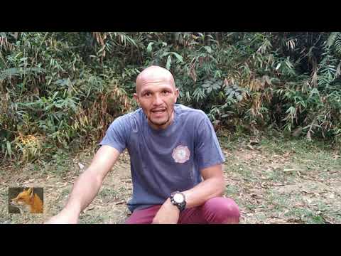 acampamento sinistro 😨 parte 1/2