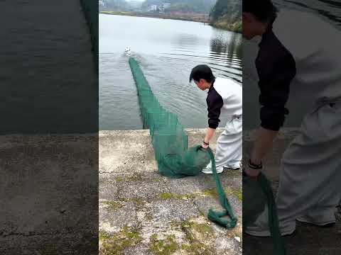 This Mini Boat Can Spread a Fishing Net Alone wood working art_hand crafts_#shorts