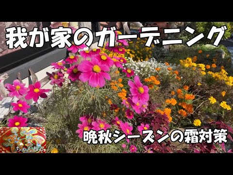 庭を寒さや霜から守る肥料は何ですか?この冬おすすめの5本をご紹介します!  庭園