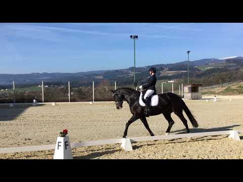 Dark Prinzess Forever - DPL Kärnten März 2019 - 1. Platz