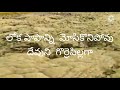 Hosanna Hallelujah Song Lyrics