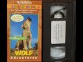 Audubon S Animal Adventures Wolf Adventures 15 Minute Educational Version