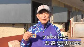 【JRA-VAN】友道調教師2026凱旋門応援メッセージ 特別インタビュー