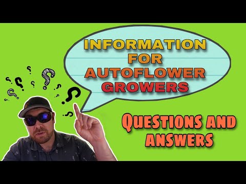Information For Autoflower Growers - Questions and Answers