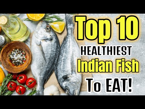 , title : 'Top 10 HEALTHIEST Indian Fish Varieties You MUST EAT! | 10 BEST Healthiest Indian Fish To Eat!'