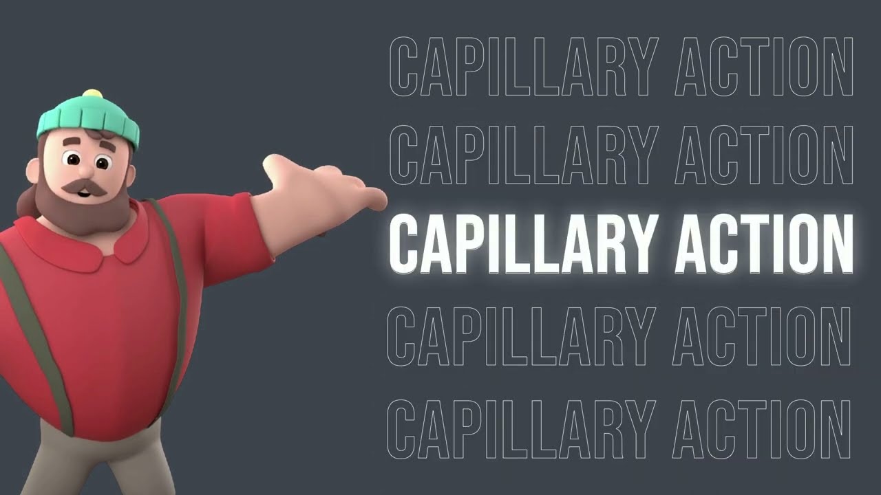 Capillary Action : Fluid Mechanics Fundamentals