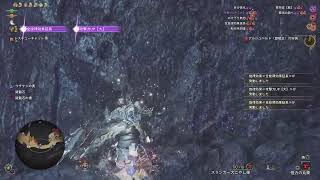 歴戦王アルシュベルド武者修行 回復禁止！ アドバイス歓迎！モンハンワイルズ