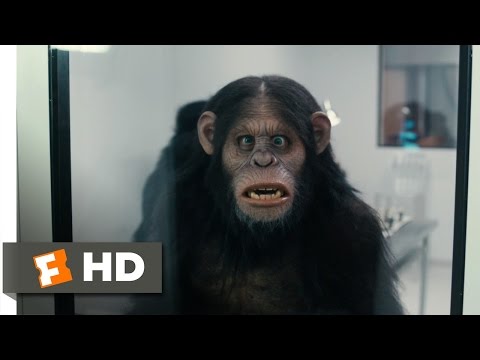Scary Movie 5 (2013) - Rise of the Apes Scene (6/9) | Movieclips