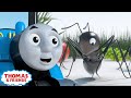 Kereta Thomas Friends Thomas Dan Semut Kereta Api Animasi Kartun